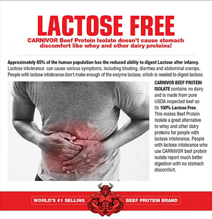 Protein Powder UAE